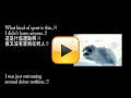 A letter from Seals to human (海豹寄给人类的一封信) 
